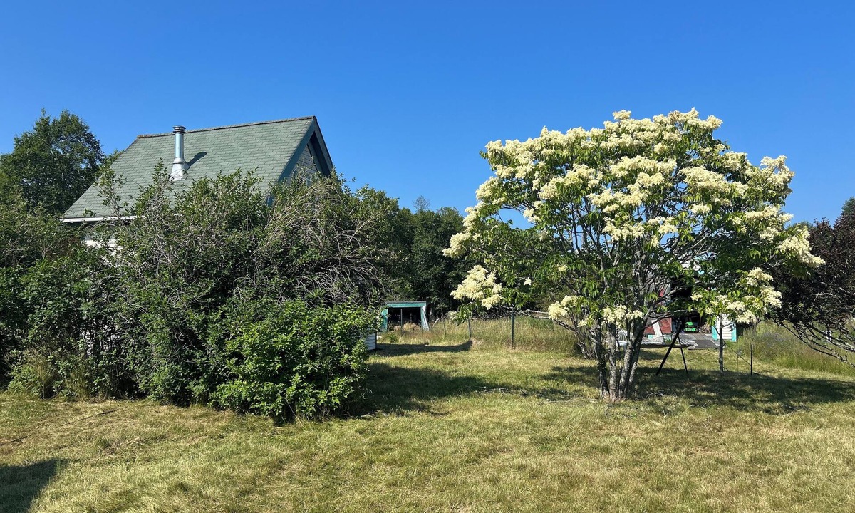 Bass Harbor Cabin | 1-Bedroom Off Grid Cabin on Remote Island Across from Acadia National Park