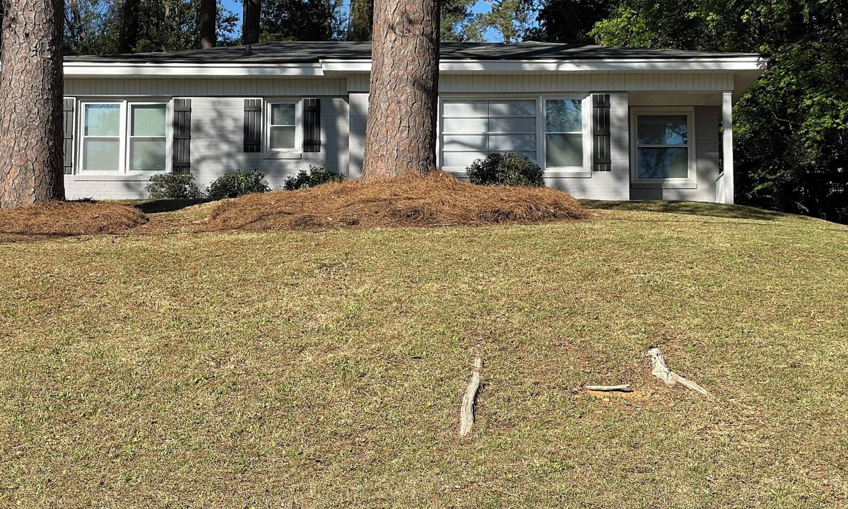 Macon House | 3-bedroom house in delightful Macon with WiFi, AC