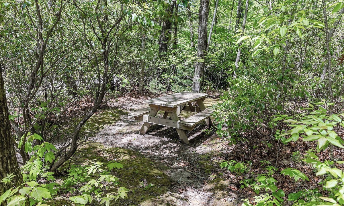 Lake Toxaway Cabin | Bear Cave - Unique Cabin w/Fire Pit and Tennis On Site