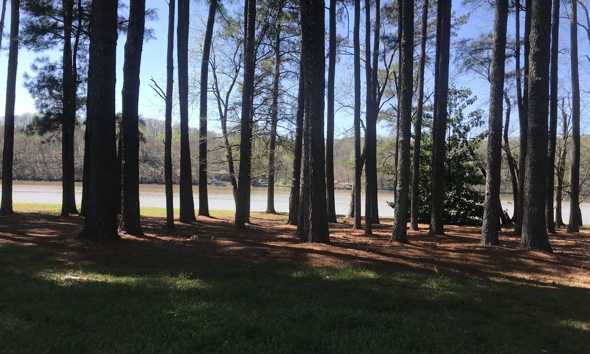 Athens RV Rental | Beautiful and level camping site on Elk River.