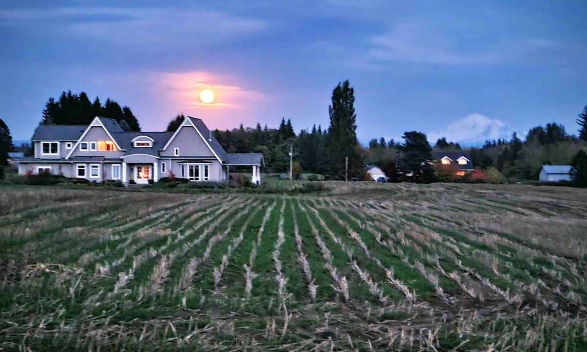 Ferndale House | Beautiful and spacious family home with Mt. Baker views.
