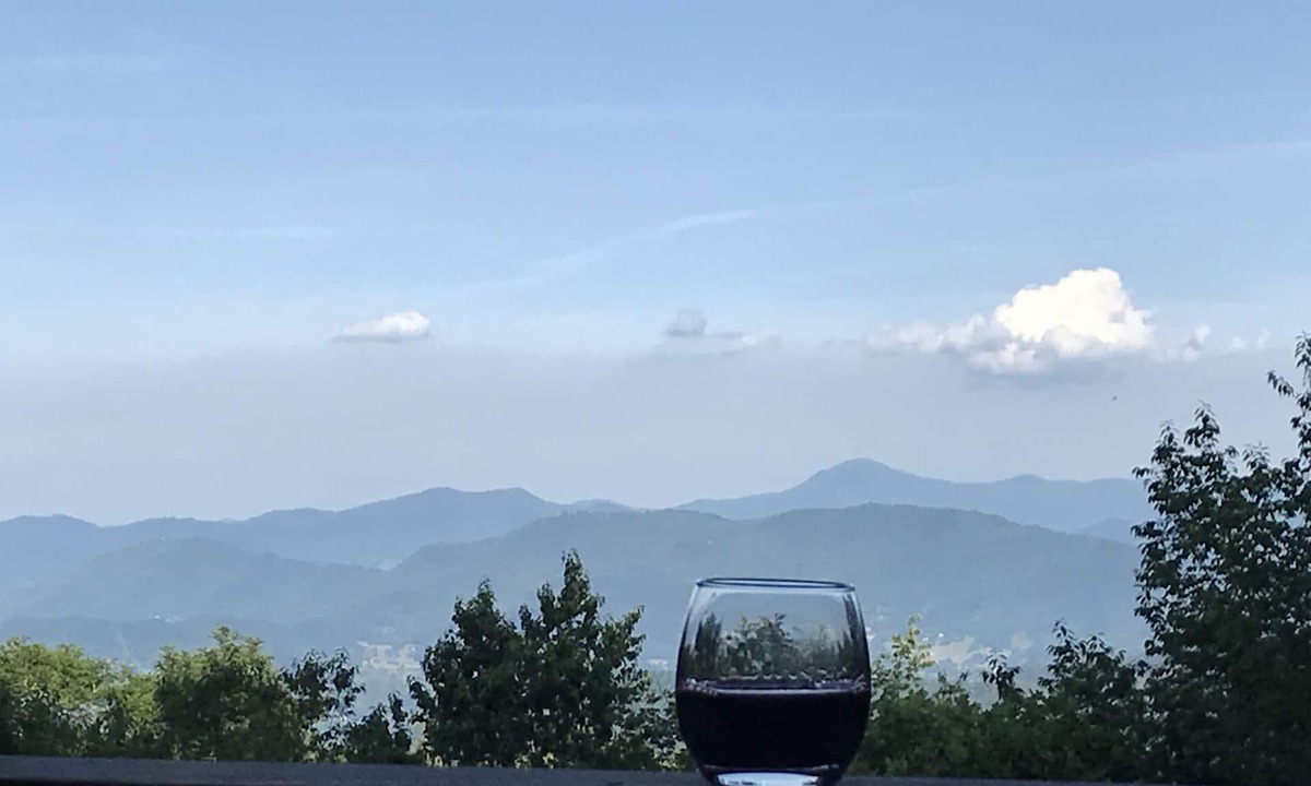 Waynesville Cabin | Belvedere-Amazing Views