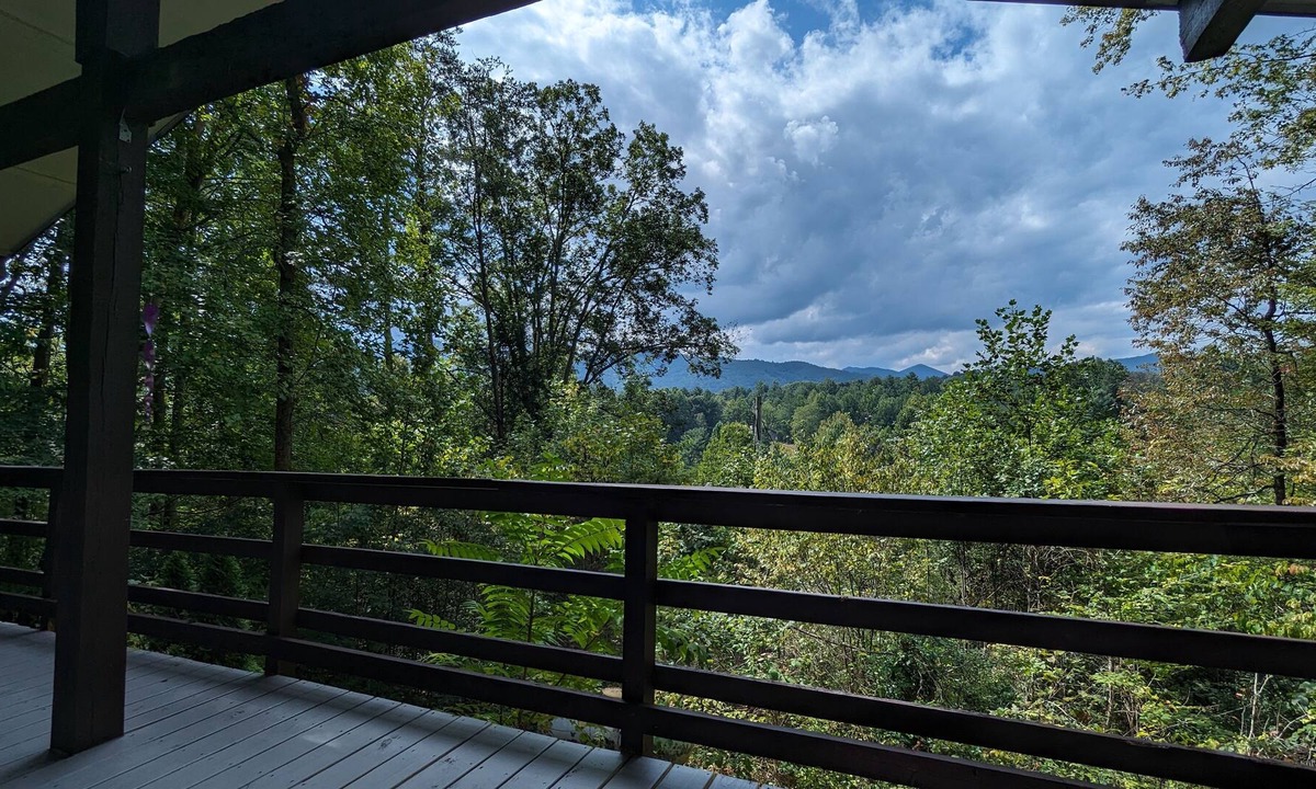 Hot Springs Cottage | Cozy Cottage, minutes to Hot Springs. Pet Friendly!