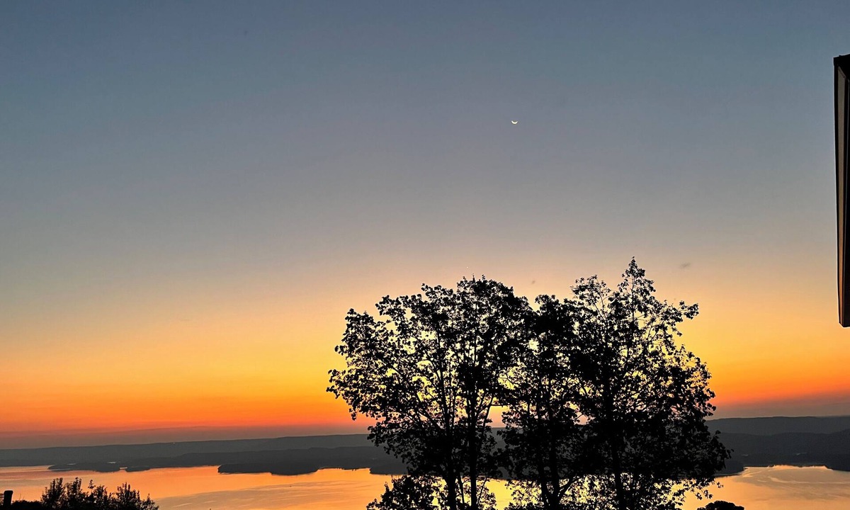 Grant Apartment | Forest Haven - 1-bedroom + Loft apartment 1.5 miles from Lake Guntersville