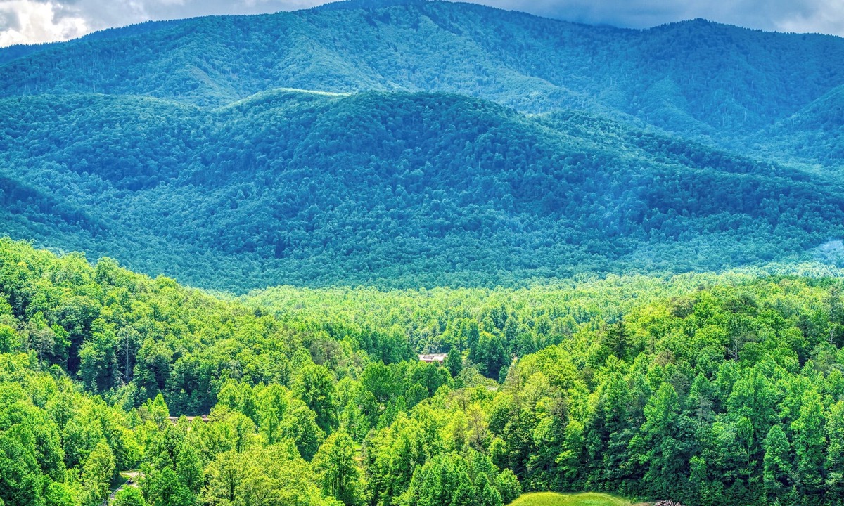 Cosby Cottage | Grey Goose, Pickleball Court, Mountain Views, Starting at $69!