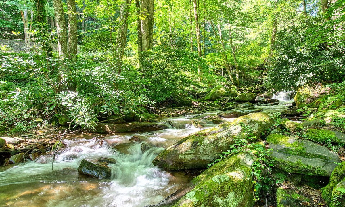Waynesville House | Immerse Yourself with Calming Sounds of the Creek. Your Perfect Hideaway Awaits!
