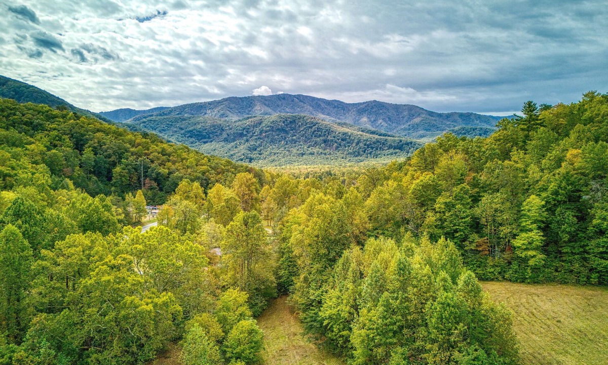 Cosby Cottage | Ivy's Cottage, Pickleball Court, Creek, WIFI, Mountain Views, Starting at $50"