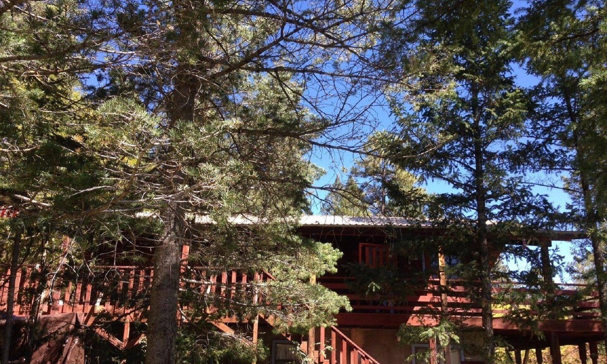 Cloudcroft Cabin | Magnificent View, In the woods! By Lodge & Golf course! Just Remodeled ceiling!