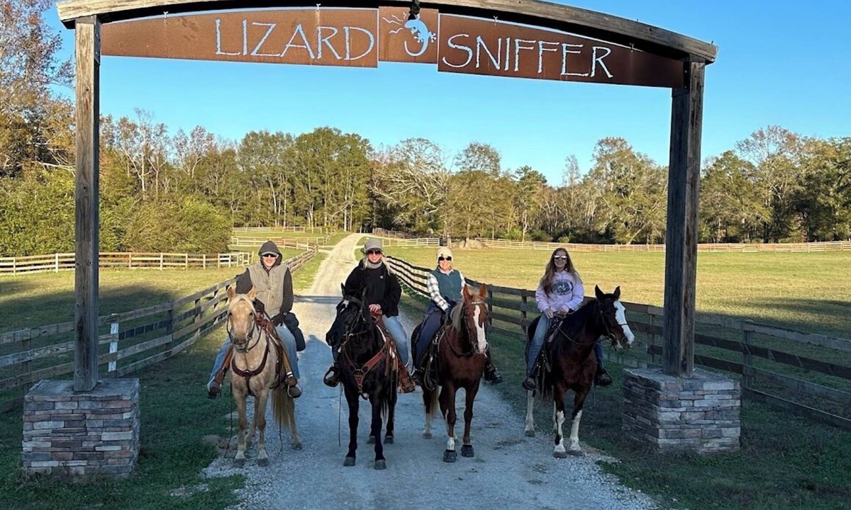 White Plains Cabin | Marvel Bullpen! Comics and Gaming! Swimming, Fishing, Trails, and Horses!