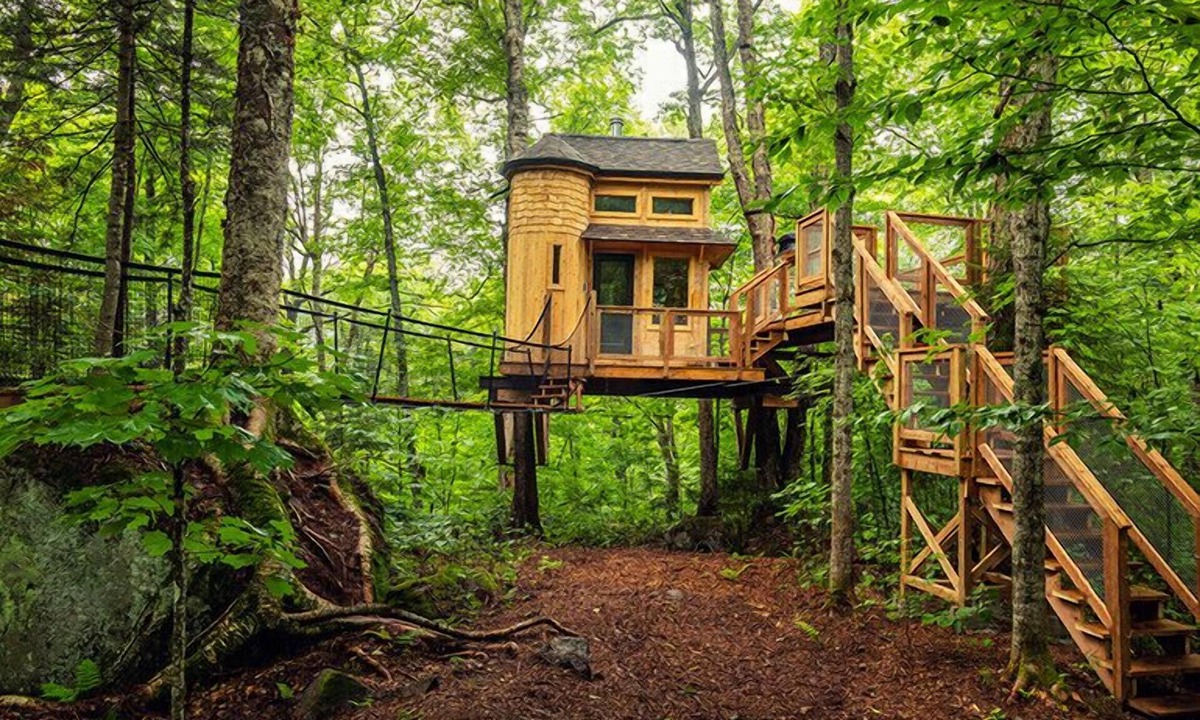 Saint-Faustin-Lac-Carre House | Treehouse between two trees, suspension bridge and deck | Lodging #13
