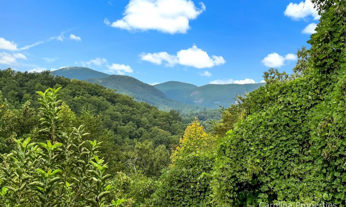 Lake Lure Cabin | Views, Mirror Lake Access, Wood Fireplace - Juve' Cabin by Carolina Properties