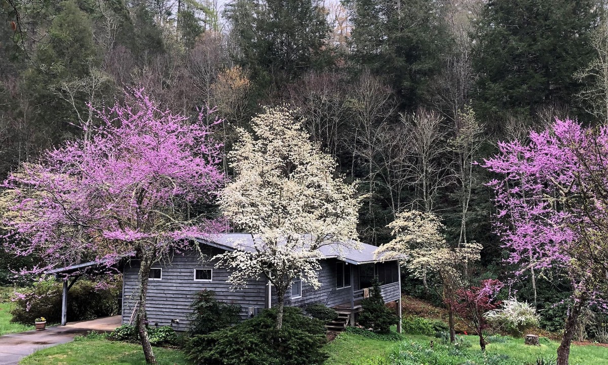 Marshall Cottage | Wilderness retreat near Asheville, Myra's Cottage offers comfort & adventure