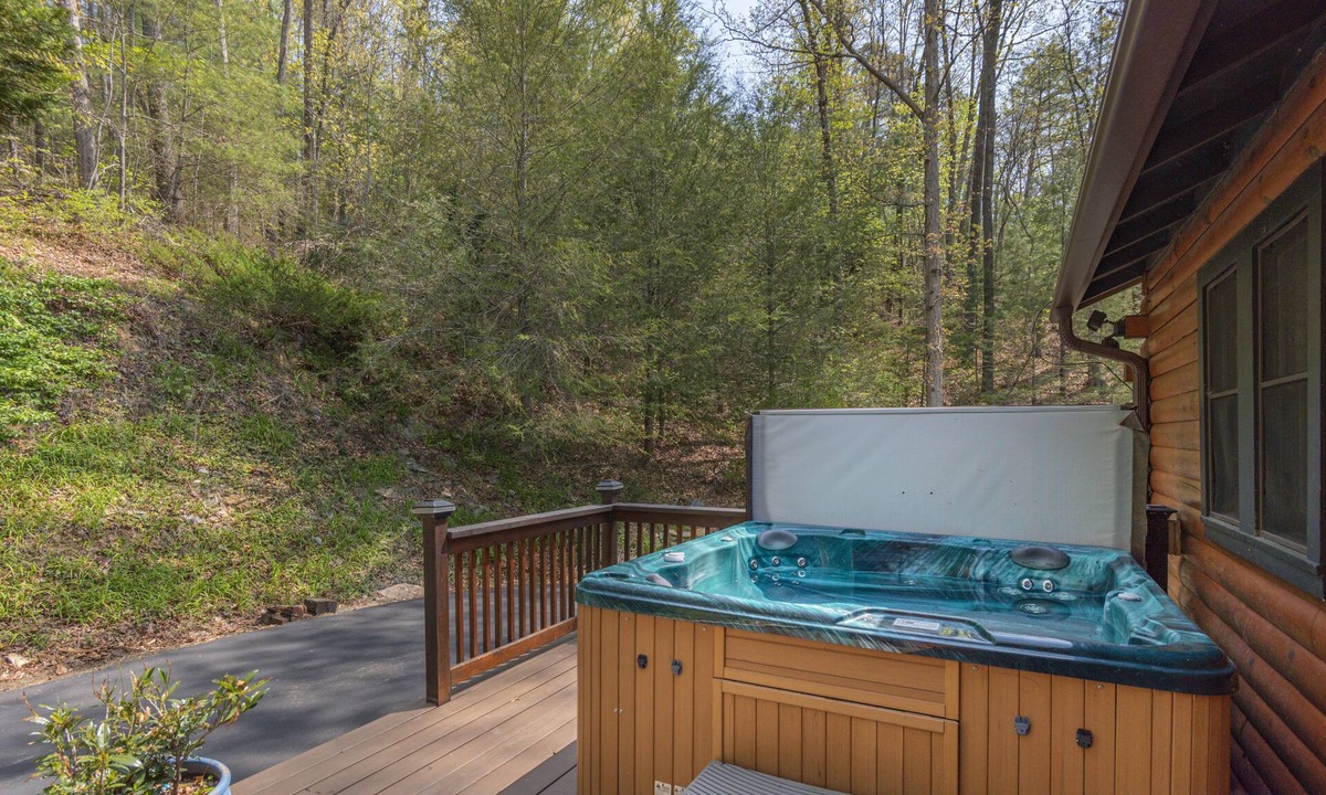Waynesville Cabin | Your Smoky Mountain Cabin suite…In the heart of the Smokies. Dog friendly!