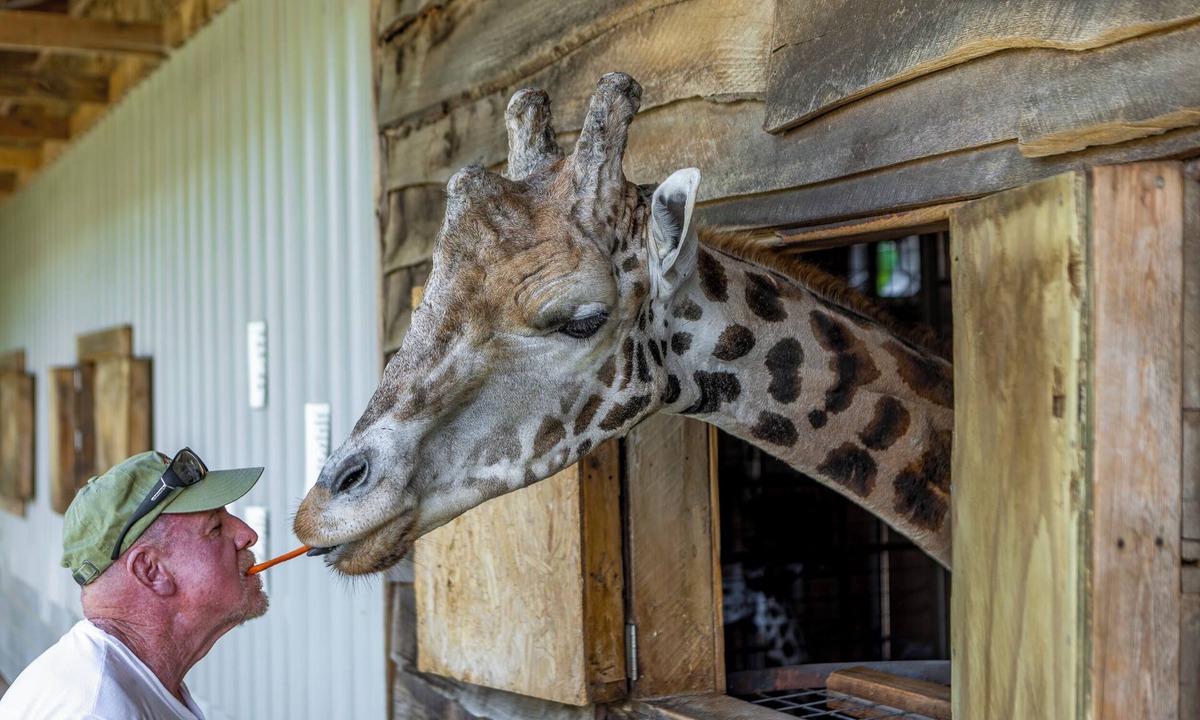 Troutman House | Zootastic Retreat | Private Hot Tub + Zoo Access