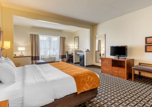 Comfort Inn Summerville - Charleston