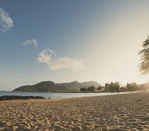 Banyan Harbor Resort 