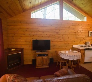 Forest Resort Eureka Springs 
