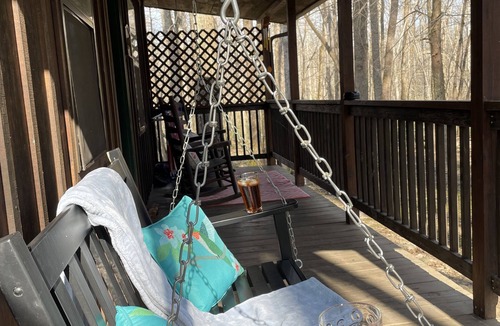 Cosby Cabin | 1 Playful Cub-GREAT unbelievable rates, check it out
