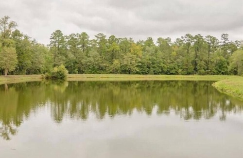 Ridgeville House | 59 acres with off grid cabin, boat ramp and dock on the Edisto River Ridgeville