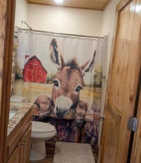 Waynesville House | Barn Guest House