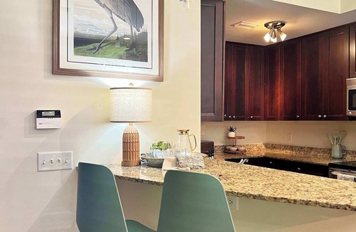 Springfield Apartment | Beautifully Modern Townhouse in Historic SPR!