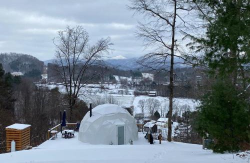 Mars Hill Other | Bee Our Guest Mountain Top Glamping