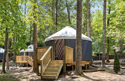 Rocky Grove RV Rental | Best Glamping in Tennessee in this Cute Pet-Friendly Yurt for 2 in Cosby