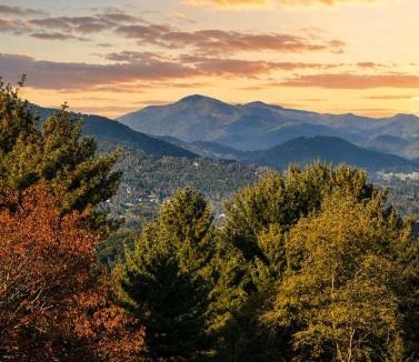 Waynesville House | Blue Spruce Retreat with Firepit & Mountain Views - Family Friendly