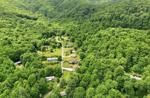 Waynesville House | Blue Spruce Retreat with Firepit & Mountain Views - Family Friendly