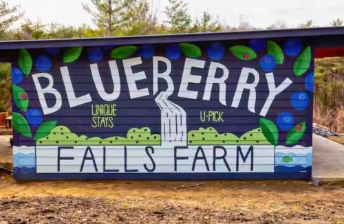 Mentone House | Blueberry Farm Cottage, Hot Tub, Creek, Game Room
