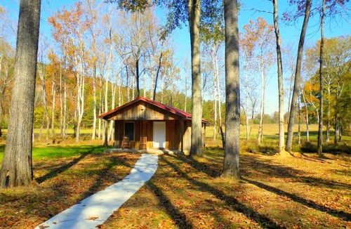 Joppa House | Cabin with Jacuzzi Tub for a Creekside Getaway near Guntersville Lake, Alabama