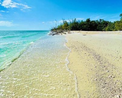 Pelican Apartment | Cape Coral Hideaway