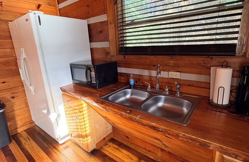 Hot Springs Cabin | Charming 1-bedroom cabin with AC in peaceful Hot Springs with river view