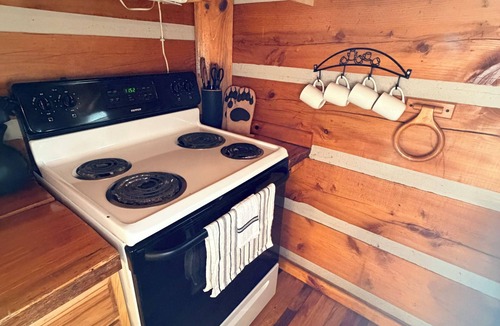 Hot Springs Cabin | Charming 1-bedroom cabin with AC in peaceful Hot Springs with river view