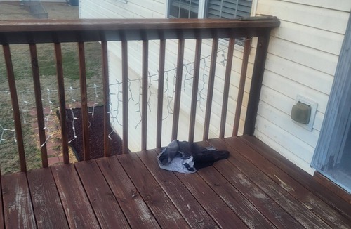 Ellenwood House | Charming 2-bedroom house with deck, WiFi, AC in Ellenwood