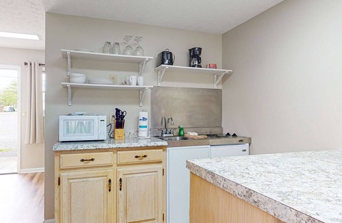 Baneberry House | Close to Douglas Lake, Picnic Area, Gym, Dog Friendly