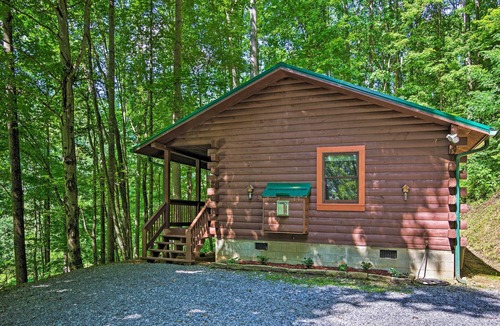 Clyde Cabin | Clyde Cabin Hideaway: Porch & Grill