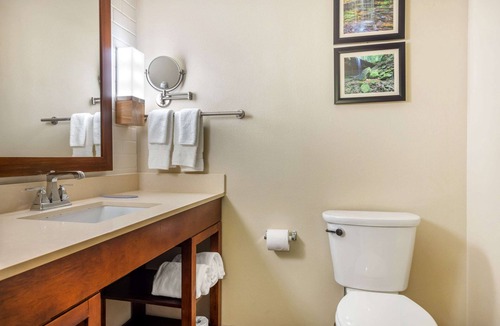 Birmingham Hotel | Comfort Inn & Suites at CrossPlex Village