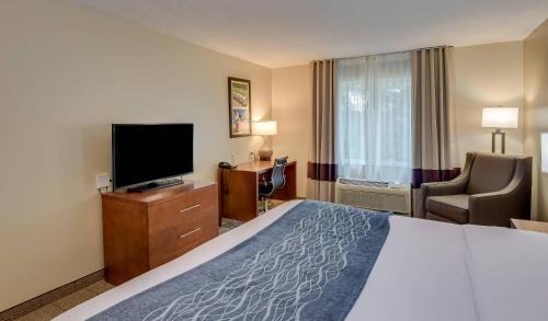 Gracewood Hotel | Comfort Inn & Suites Augusta Fort Gordon Area