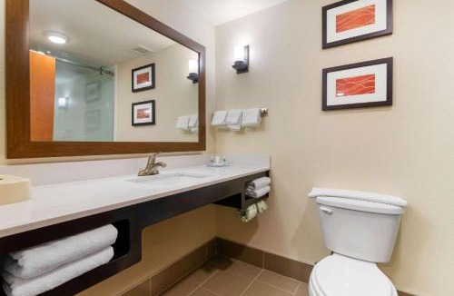 Macon Hotel | Comfort Inn & Suites Macon West