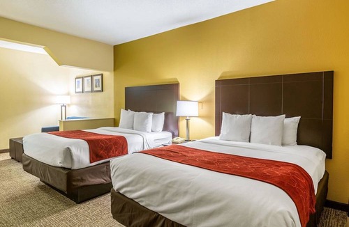 Warner Robins Hotel | Comfort Suites near Robins Air Force Base