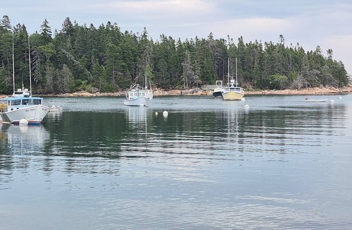 Birch Harbor Cottage | Coming Summer of 2027! Cozy 1 bedroom cottage on overlooking Bunker's Harbor!