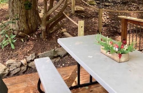 Waynesville Apartment | Cool Creekside Cabin