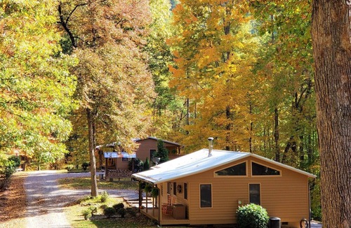 Hot Springs Cabin | Couples Cabin w/King Bed, Wi-Fi, Hot Tub, & Grill in WNC Mtns