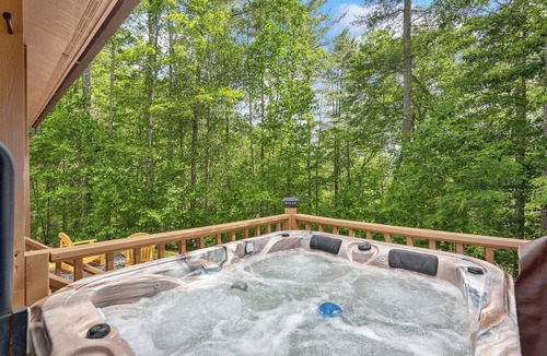Hot Springs Cabin | Couples Cabin w/King Bed, Wi-Fi, Hot Tub, & Grill in WNC Mtns