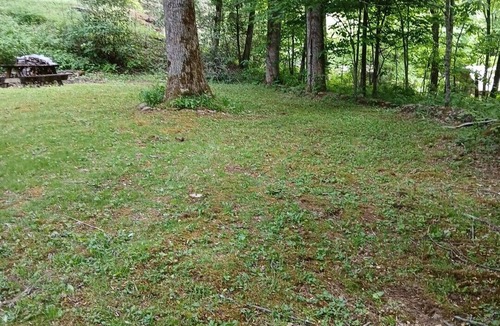Maggie Valley Cabin | Cozy 1-bedroom cabin in gorgeous Maggie Valley with AC