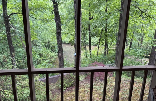 Tigerville Cabin | Cozy 1-bedroom private cabin in beautiful Travelers Rest with AC