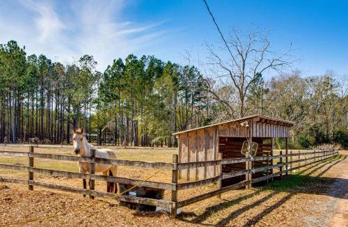 Colquitt County Apartment | Cozy Barn Apt w/5-Acre Pond in South Georgia!
