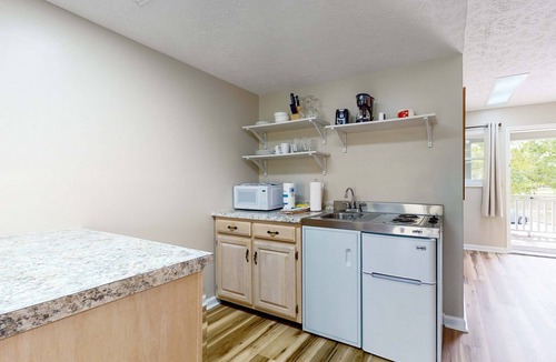 Baneberry House | Cozy Studio, Balcony, Gym, Games, Near Douglas Lake