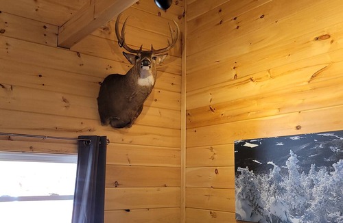 Jackman Cabin | Custom built tiny home/cabin in Jackman WITH DIRECT TRAIL ACCESS ON POWERSPORTS